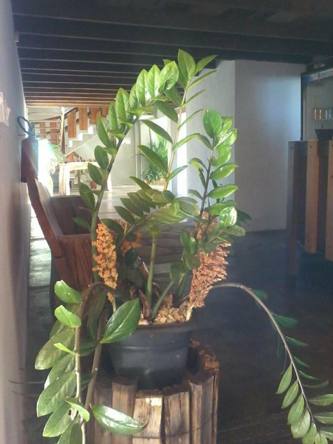 Pouso D' Braga Otel Pirenópolis Dış mekan fotoğraf