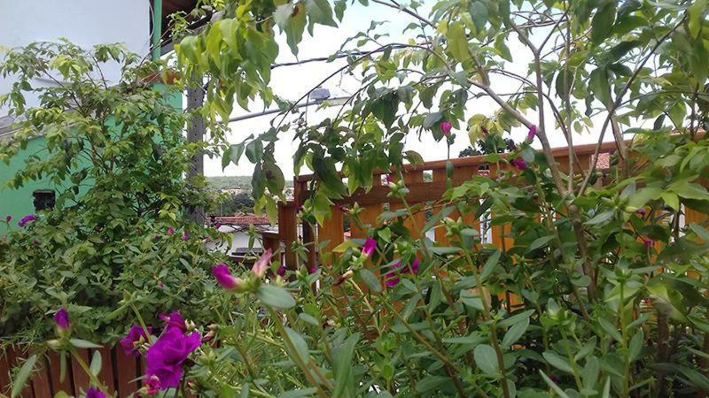 Pouso D' Braga Otel Pirenópolis Dış mekan fotoğraf